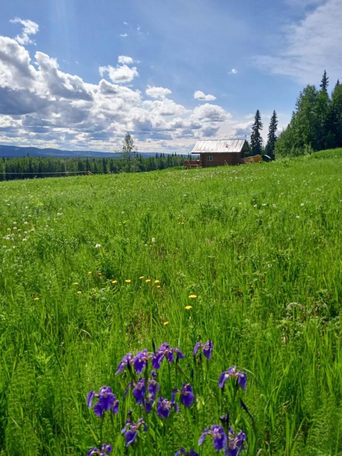 Secluded Log Cabin, 30 Min From Chena Hot Springs Pleasant Valley エクステリア 写真